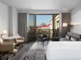 Двухместная студия Larger с видом на парк