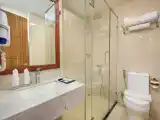 Номер Deluxe с видом на город