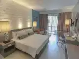 Двухместный номер Tropical Superior (без вида)