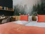 Двухместный полулюкс