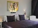 Run of House