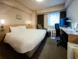 Двухместный номер Deluxe с видом на город