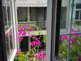 Двухместный полулюкс