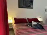 Номер Комфорт