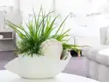 Полулюкс Deluxe