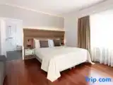 Двухместный номер Deluxe Мансарда