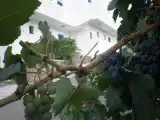 Студия Эконом