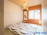 Семейный номер Стандарт