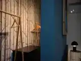 Люкс