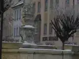 Run of House