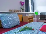 Номер Стандарт