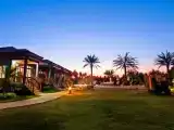 Run of House