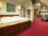 Двухместные апартаменты Luxury