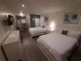 Двухместная студия