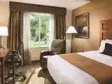 Двухместный номер Executive