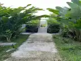 Номер Стандарт с видом на сад