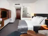 Двухместный номер Superior с балконом