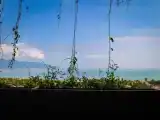 Номер Стандарт с видом на море