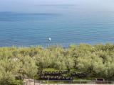 Люкс c 1 комнатой с балконом и с видом на море