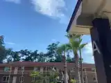 Run of House