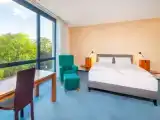 Номер Стандарт с видом на парк