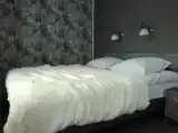 Двухместный люкс Superior