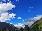 Run of House