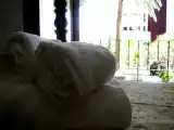 Run of House