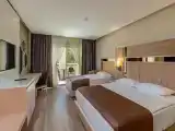 Трёхместный номер Deluxe