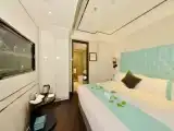 Двухместный номер Business