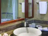 Люкс c 1 комнатой с видом на город