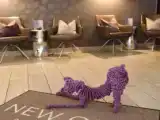 Двухместный номер Superior