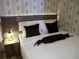 Run of House