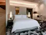 Двухместный полулюкс Skyline view