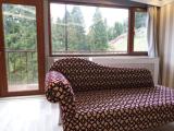 Двухместный номер Стандарт с балконом и с красивым видом из окна