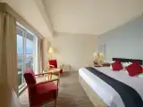 Двухместный номер Стандарт with South view
