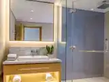 Двухместный номер Superior с балконом и с видом на город