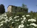 Люкс Дуплекс