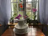 Номер Стандарт