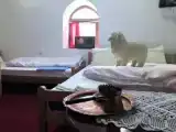 Коттедж