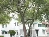 Run of House