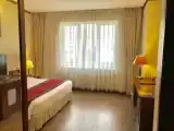 Двухместный номер Deluxe с видом на город