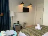 Двухместный номер Deluxe с видом на город