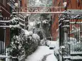 Run of House