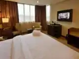 Двухместный номер Premier с видом на город