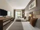 Двухместный номер Deluxe с видом на город