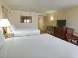 Двухместный номер Deluxe с видом на парк