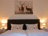 Номер Эконом