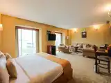 Люкс Grand с видом на парк