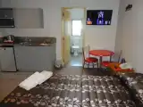 Двухместная студия